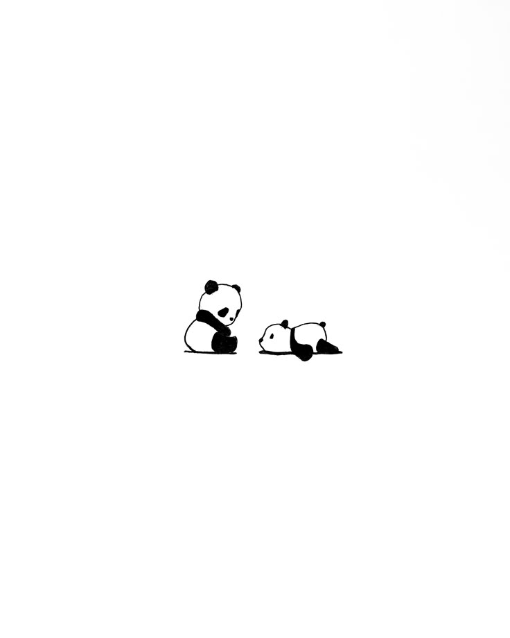 two black and white pandas sitting on the ground in front of a sky background