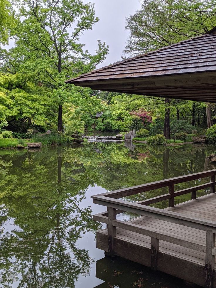 a wooden dock sitting next to a lush green forest