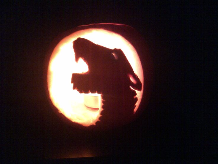 an animal carved into a pumpkin in the dark