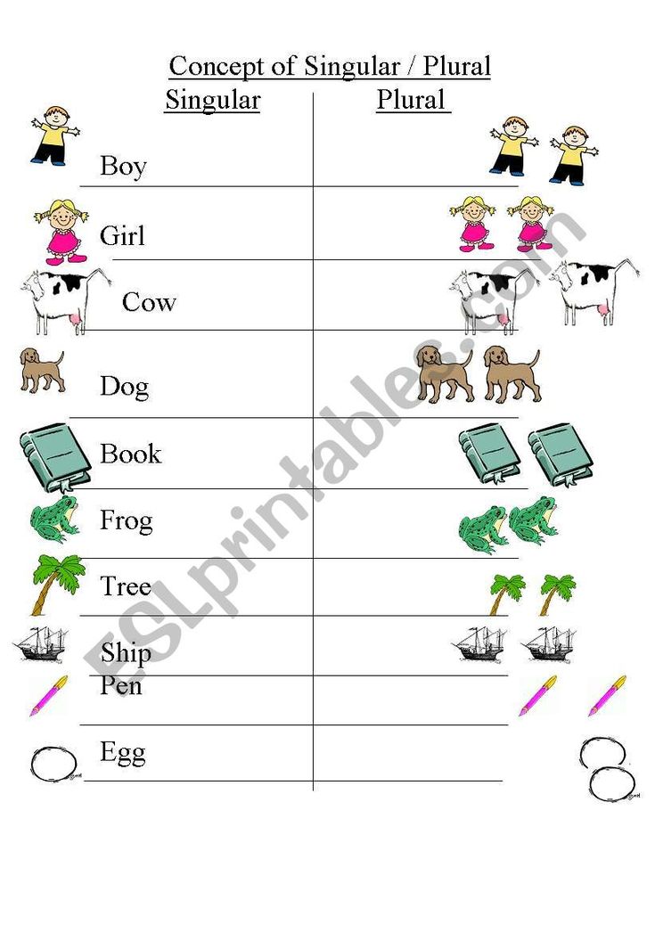 an-easy-worksheet-for-concept-of-singular-plural-plurals-singular