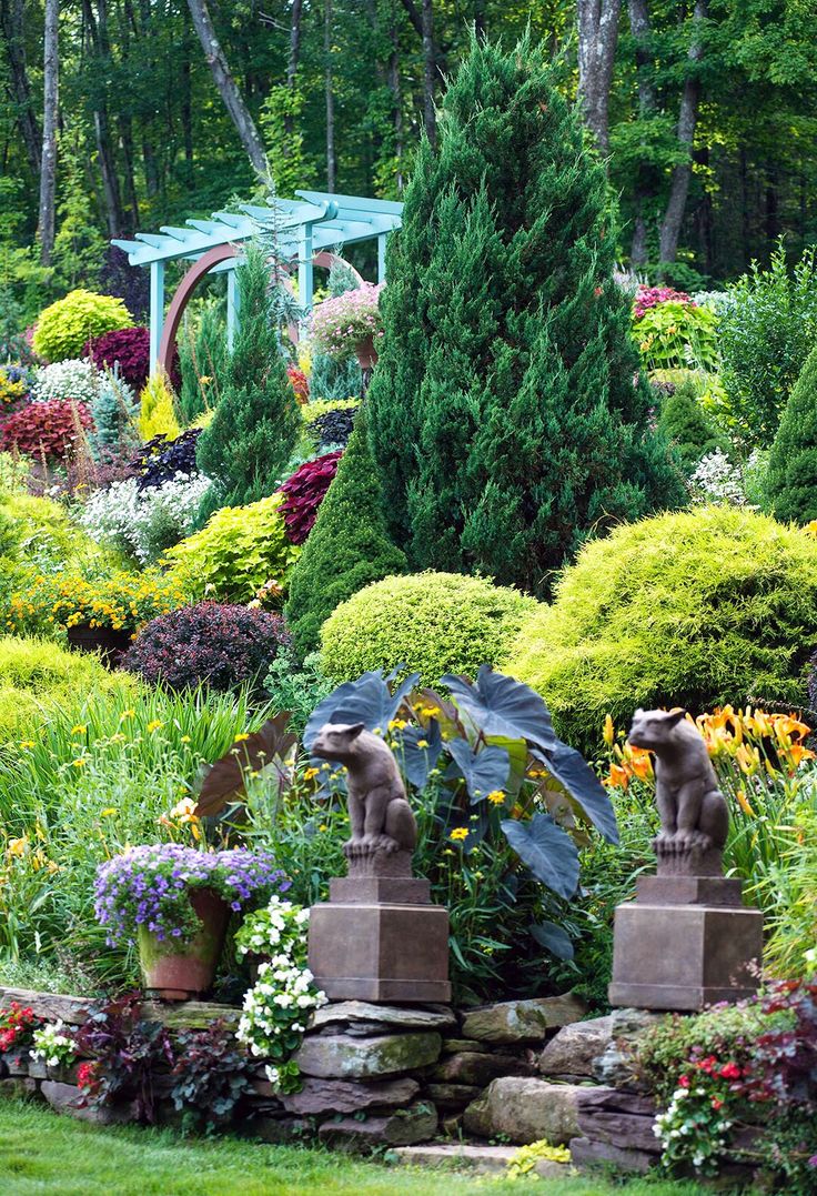 a garden filled with lots of different types of flowers