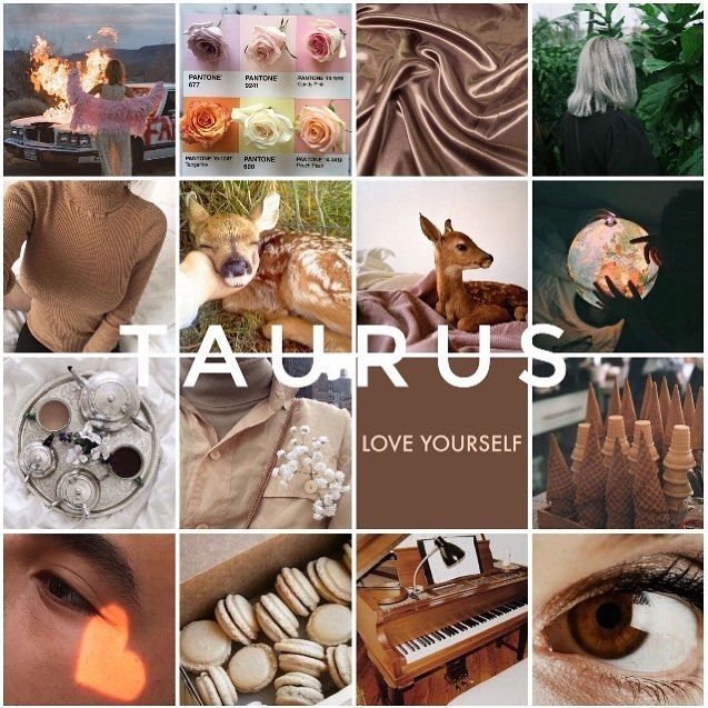 there is a collage of pictures with the words taurus