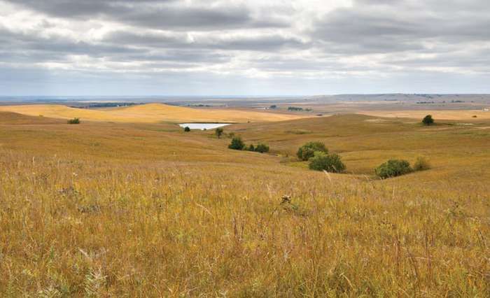 an open field with trees and water in the distance