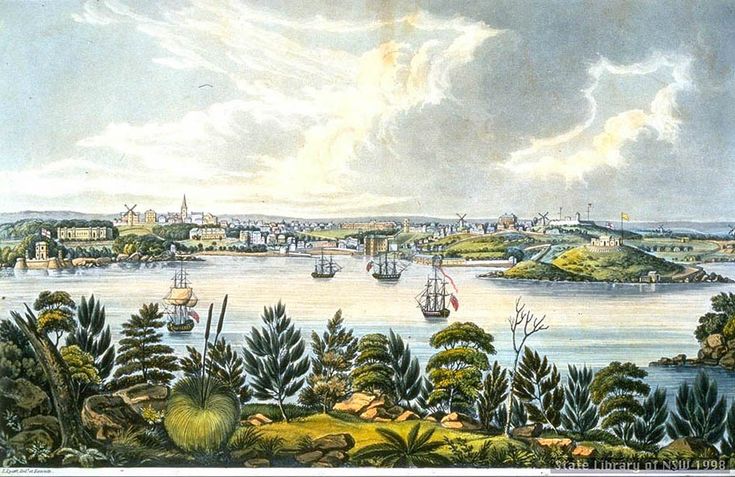 an illustration of a river with ships in the water and trees on both sides, surrounded by land