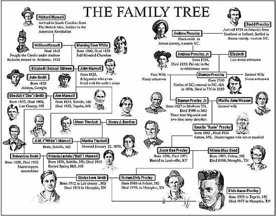 an old family tree with many different people