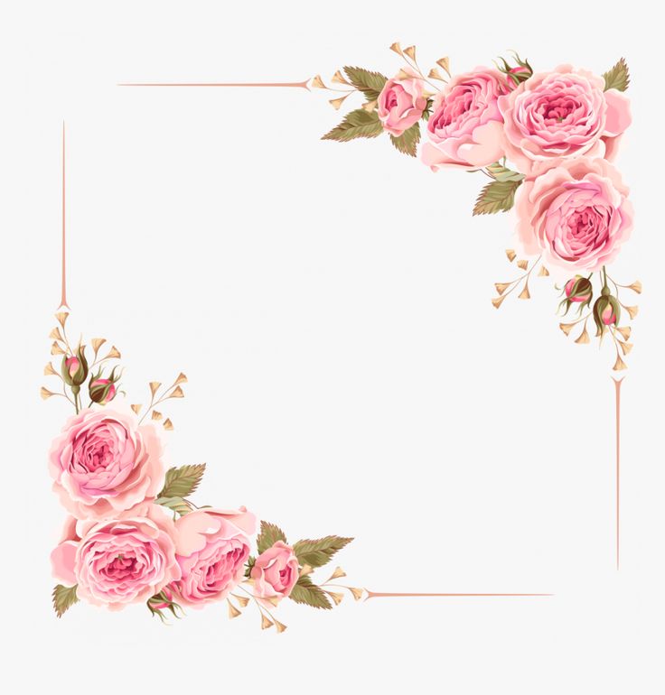 pink roses with green leaves are arranged in the shape of a rectangle on a white background