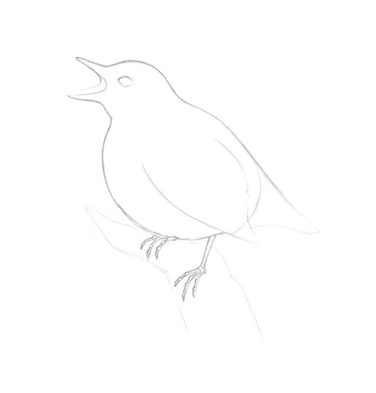 a drawing of a bird sitting on a branch