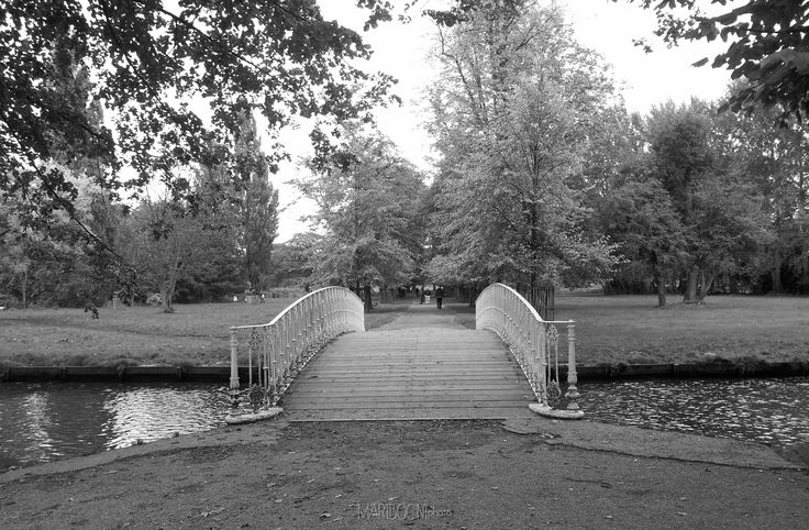 black and white photograph of a bridge over a body of water in a park with lots of trees