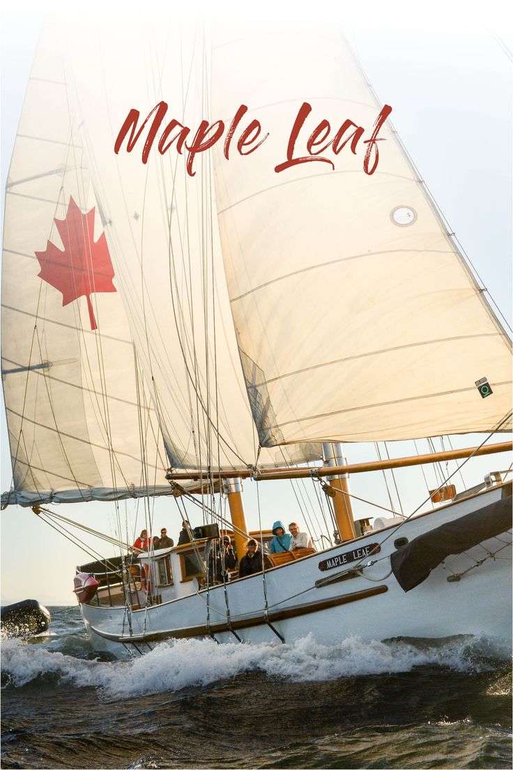 a white sailboat with the maple leaf on it