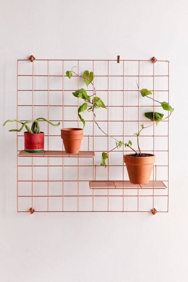 a wire shelf with potted plants on it