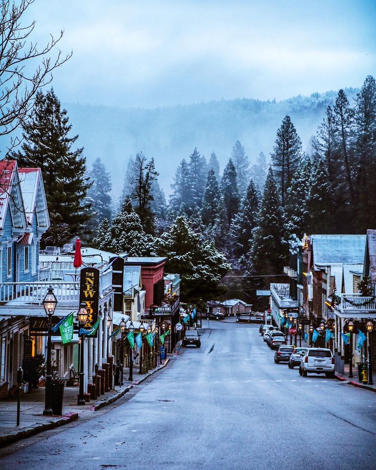 a street lined with houses and trees covered in snow