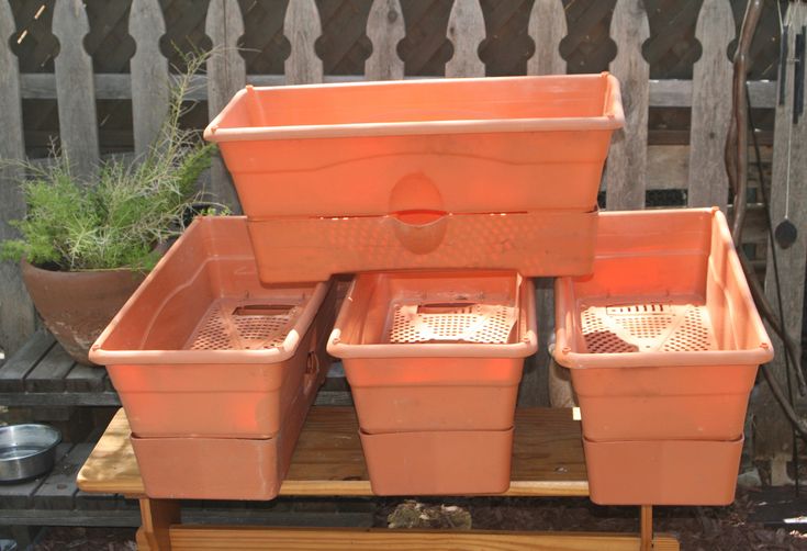 four orange plastic planters sitting on top of a wooden table next to potted plants