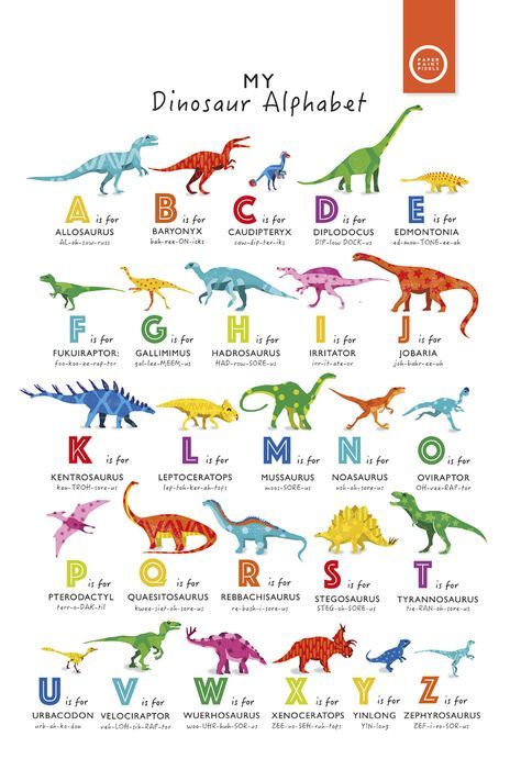 an illustrated poster with different types of dinosaurs in english and ...