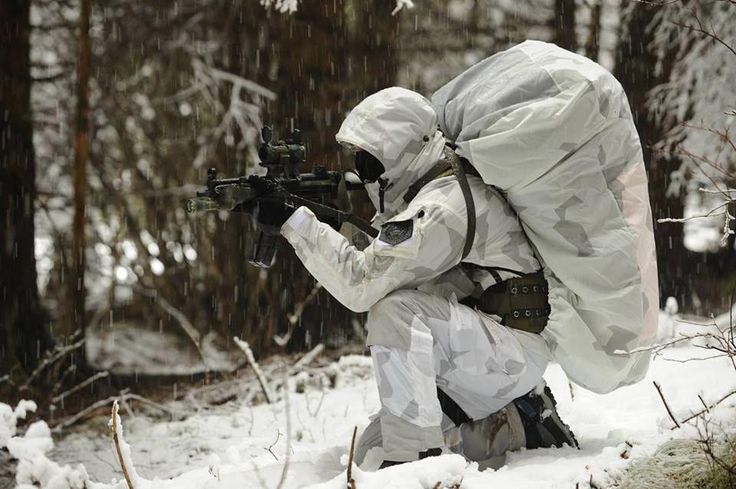 Картинки по запросу winter military camouflage Swat Reference, Winter Camo, Peace Officer, Special Force, Military Camouflage, Military Photos, Army Soldier, Military Heroes, Military Gear