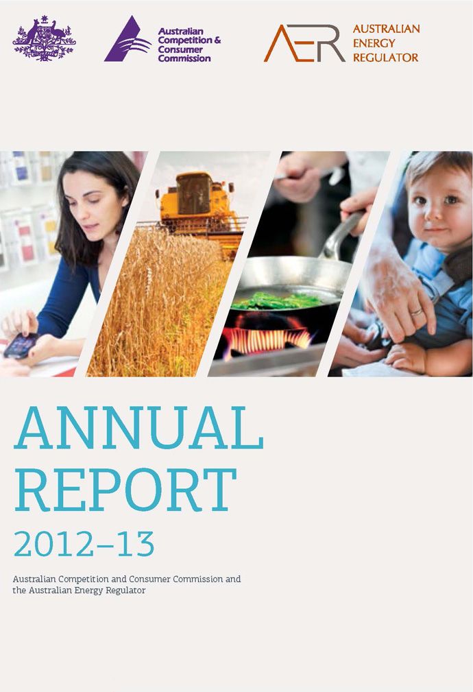 the annual report 2012 - 13