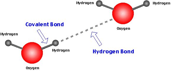 the diagram shows how hydrogen bonds are connected to each other in order to form an oxygen bond