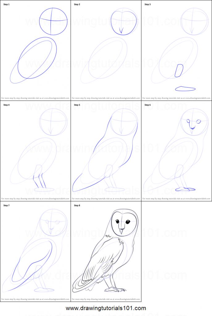 Free Printable Step By Step Drawing