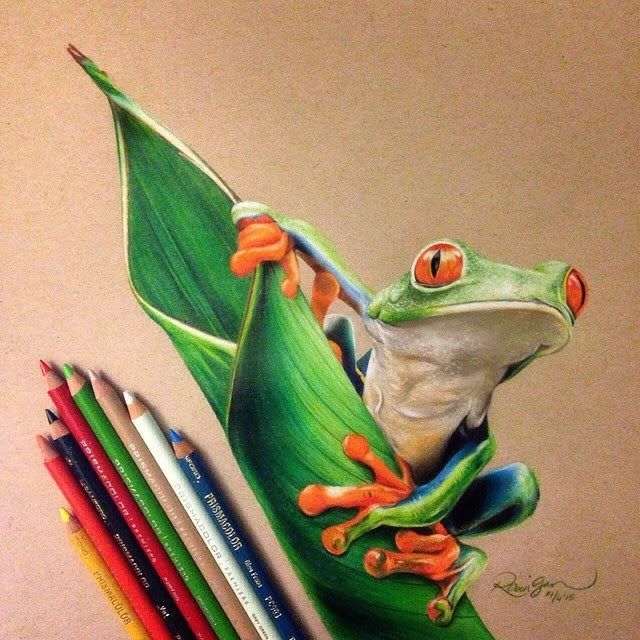 a drawing of a frog sitting on a leaf with colored pencils next to it