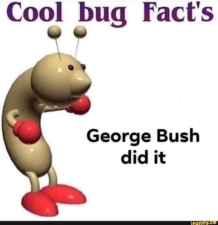 a cartoon bug with the caption cool bug fact's