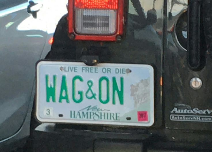 a license plate on the back of a car that says hagon and has an arrow