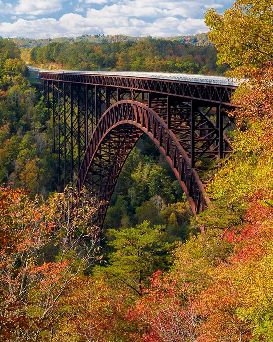 the train is going over the bridge in the fall forest with colorful trees surrounding it