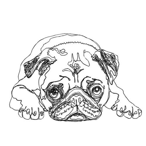 Pin op pugs...pugs....pugs.... | Mopshond, Kleuren