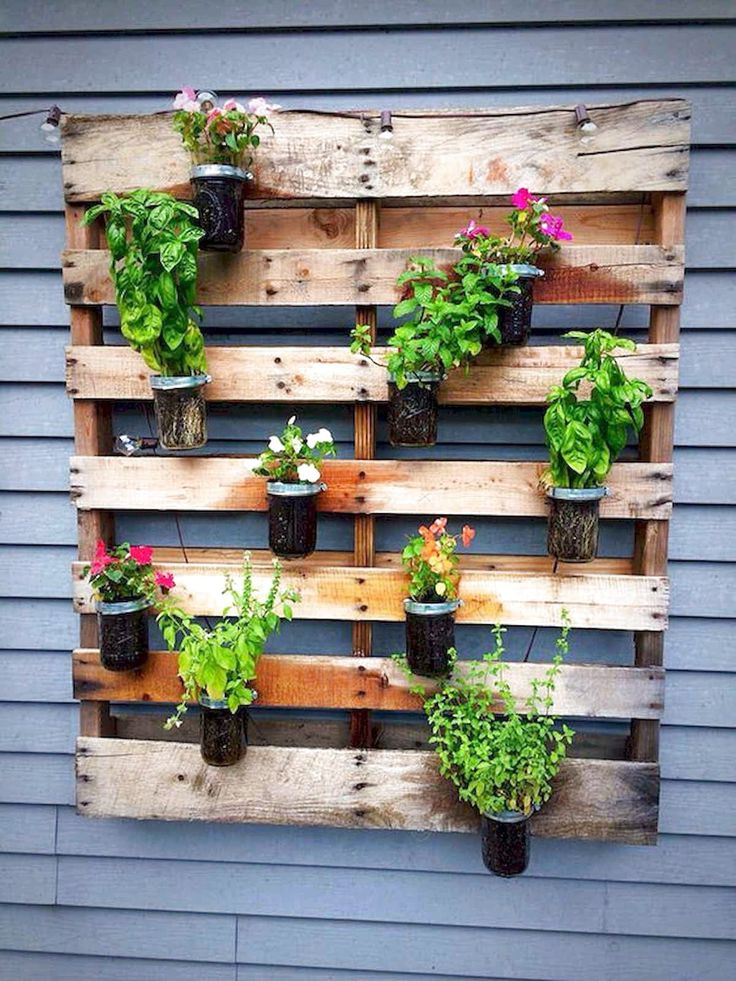 a wooden pallet filled with potted plants on top of a blue house wall