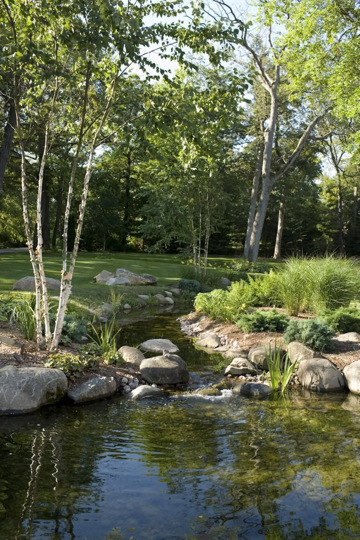 a small pond surrounded by rocks and trees