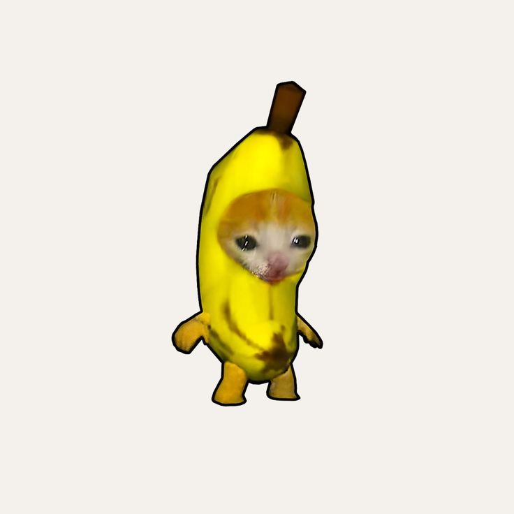 banana cat in 2024 | Cat memes, Manga art, Cat posters