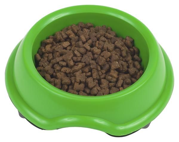 a green bowl filled with dog food on top of a white background