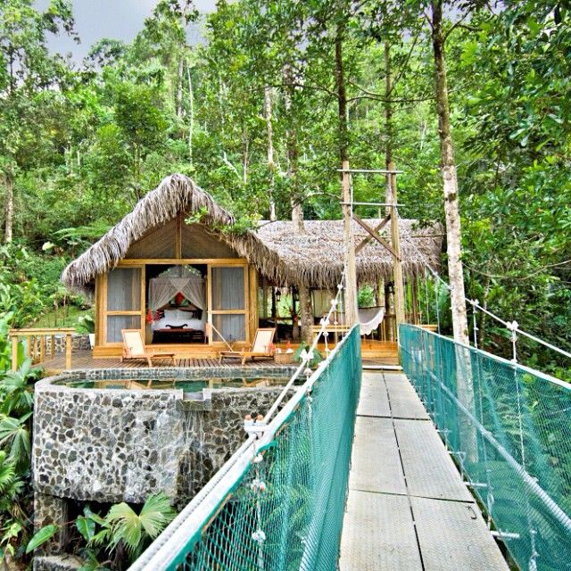 a wooden walkway leading to a small hut in the middle of some trees and bushes