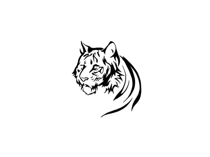 a black and white drawing of a tiger's head