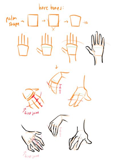 Twitter | Drawing tutorial, Hand drawing reference, Anime drawings ...