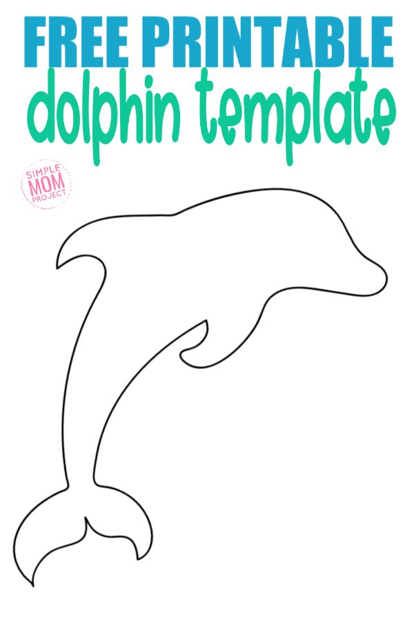 free printable dolphin template for kids