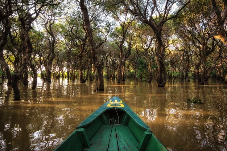 a green boat floating on top of a river filled with trees