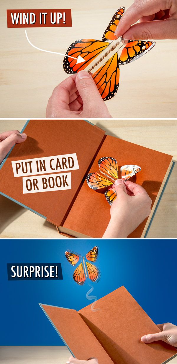 an open book with butterflies on it and the words, put in card or book surprise