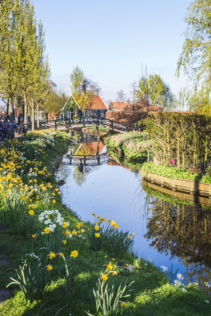 a small pond surrounded by trees and flowers in the middle of a park with people walking around