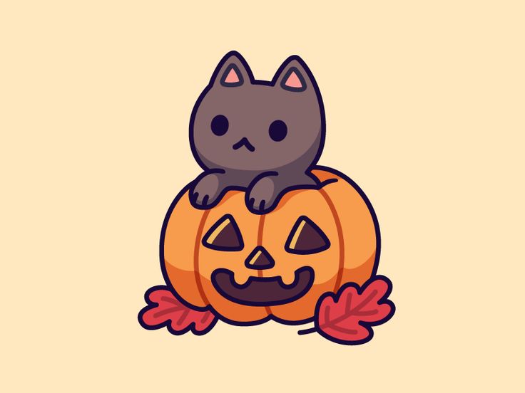 a cat sitting on top of a pumpkin