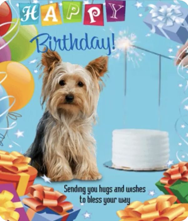 a happy birthday card with a dog sitting next to presents and balloons in the background