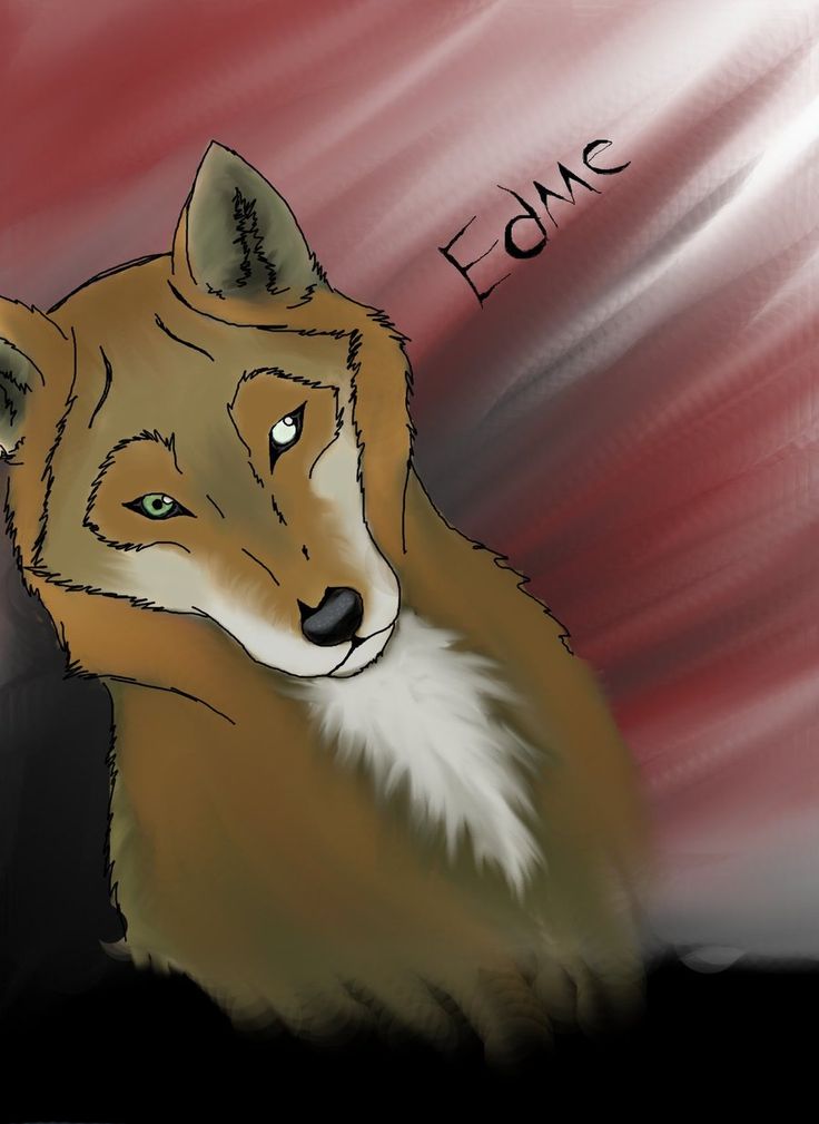 a drawing of a fox with the word fonc on it's chest