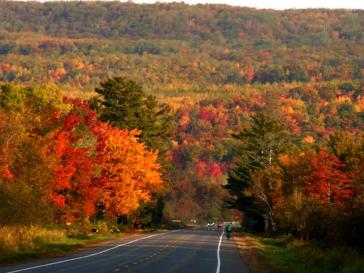 an empty road surrounded by colorful trees in the fall