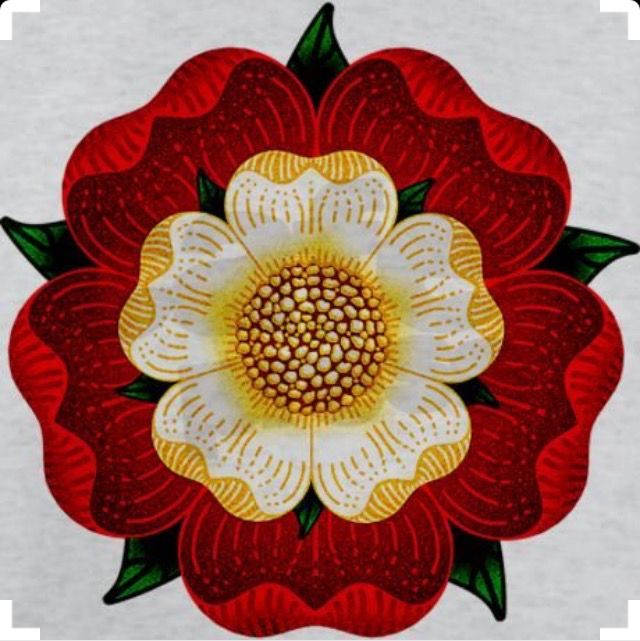 a red and white flower with green leaves in the center on a white paper background