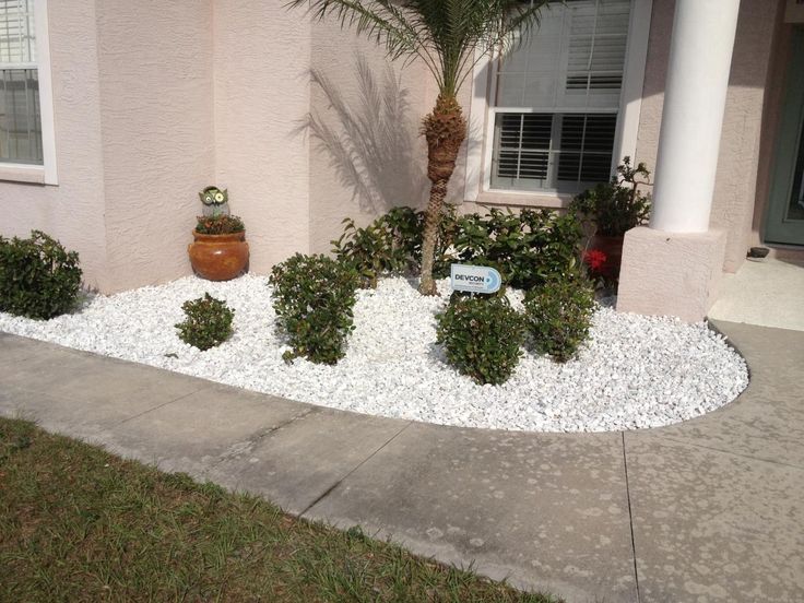 a house that has some plants in front of it