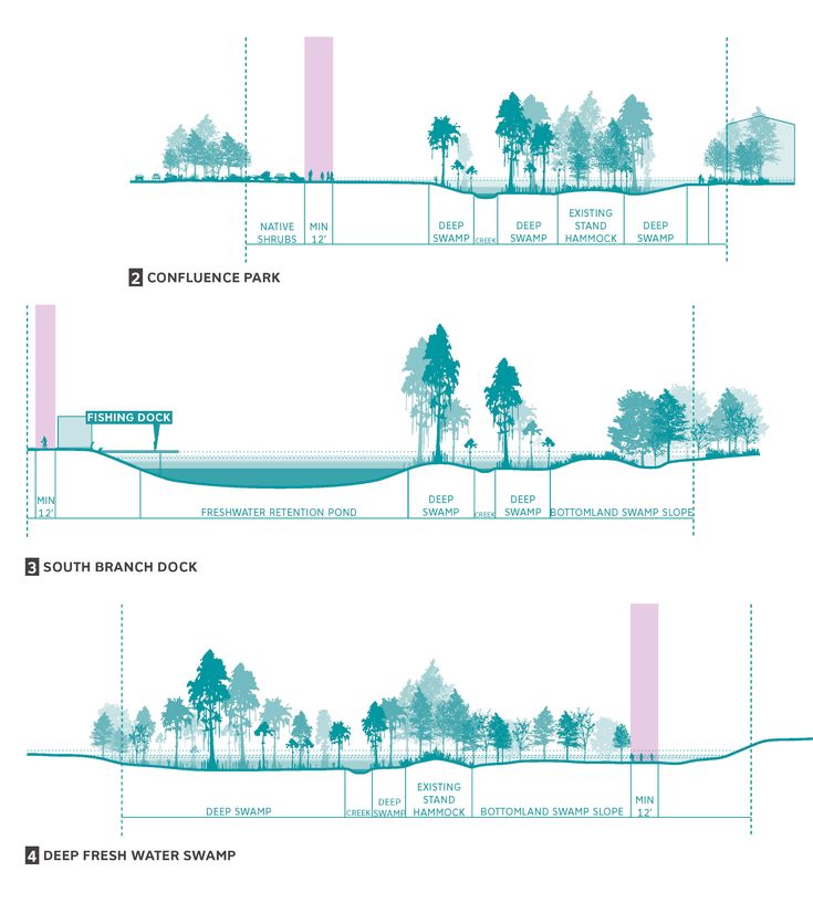 three diagrams showing the different types of trees