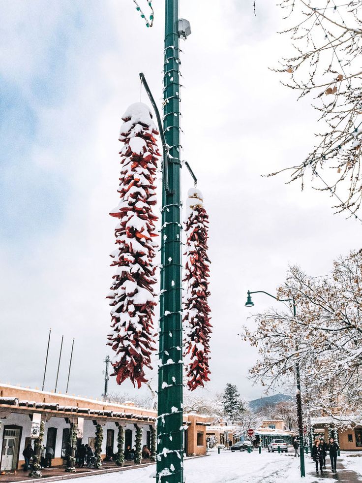 a street light covered in snow next to a tree with lots of red flowers hanging from it