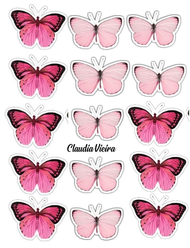 pink butterfly stickers with the words claudia victoria on them in black and white lettering