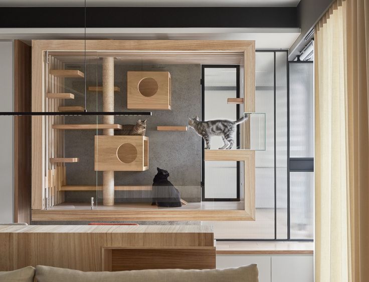 two cats sitting on top of wooden shelves in a room with glass doors and windows