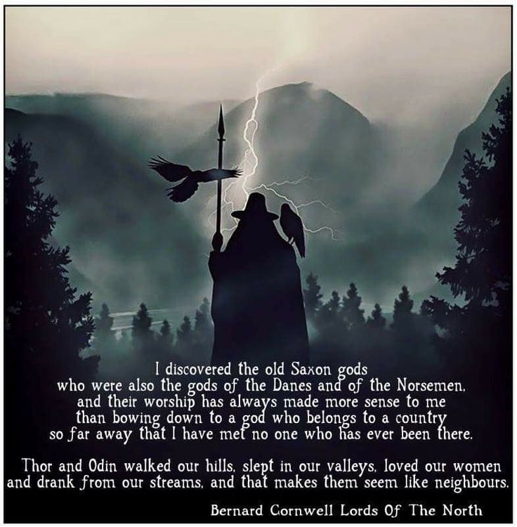 Norse Aesthetic, Odin Allfather, Viking Facts, Odin Norse Mythology, The Old Gods, Viking Aesthetic, Old Gods, Odin And Thor, Viking Quotes