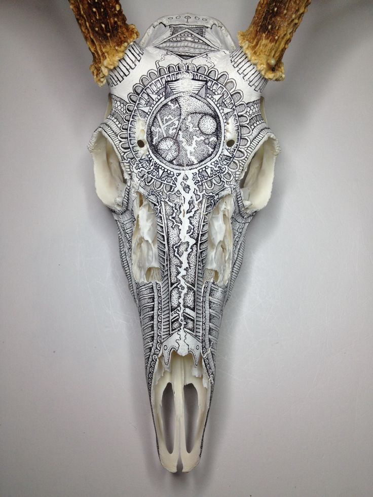 an animal's skull with long horns and intricate designs on it, hanging from the wall