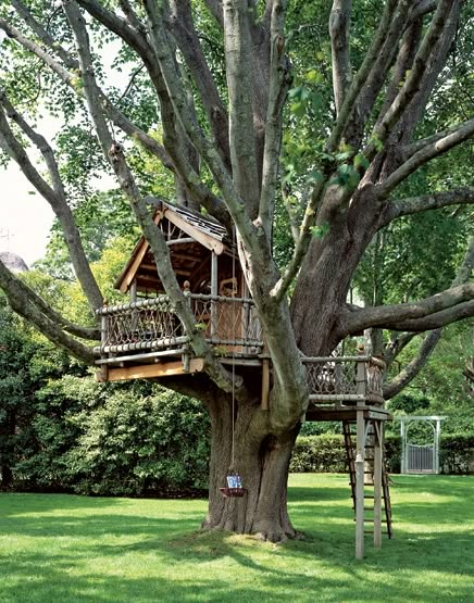 a tree house built into the side of a large tree in a park with green grass